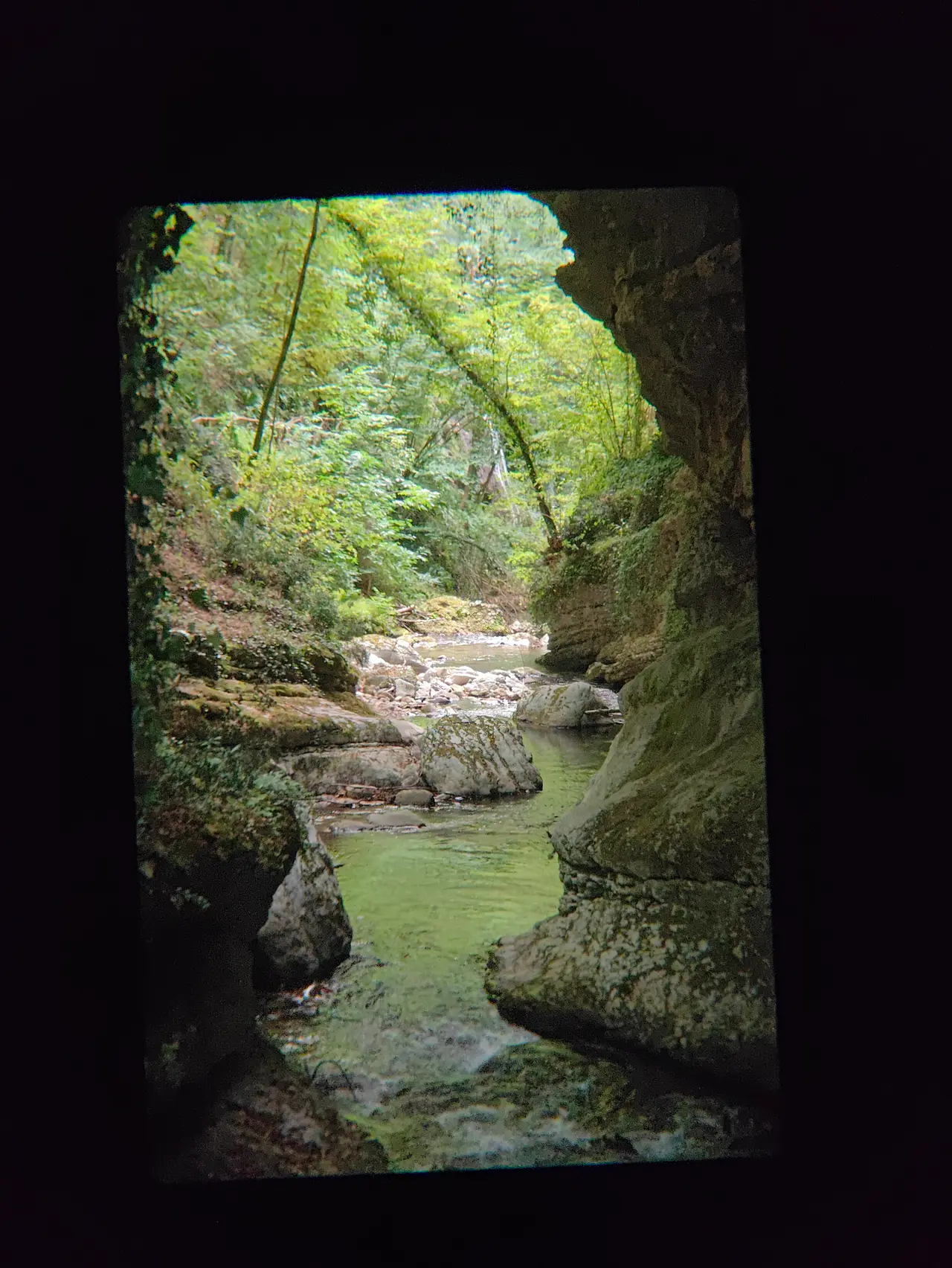 Example 6